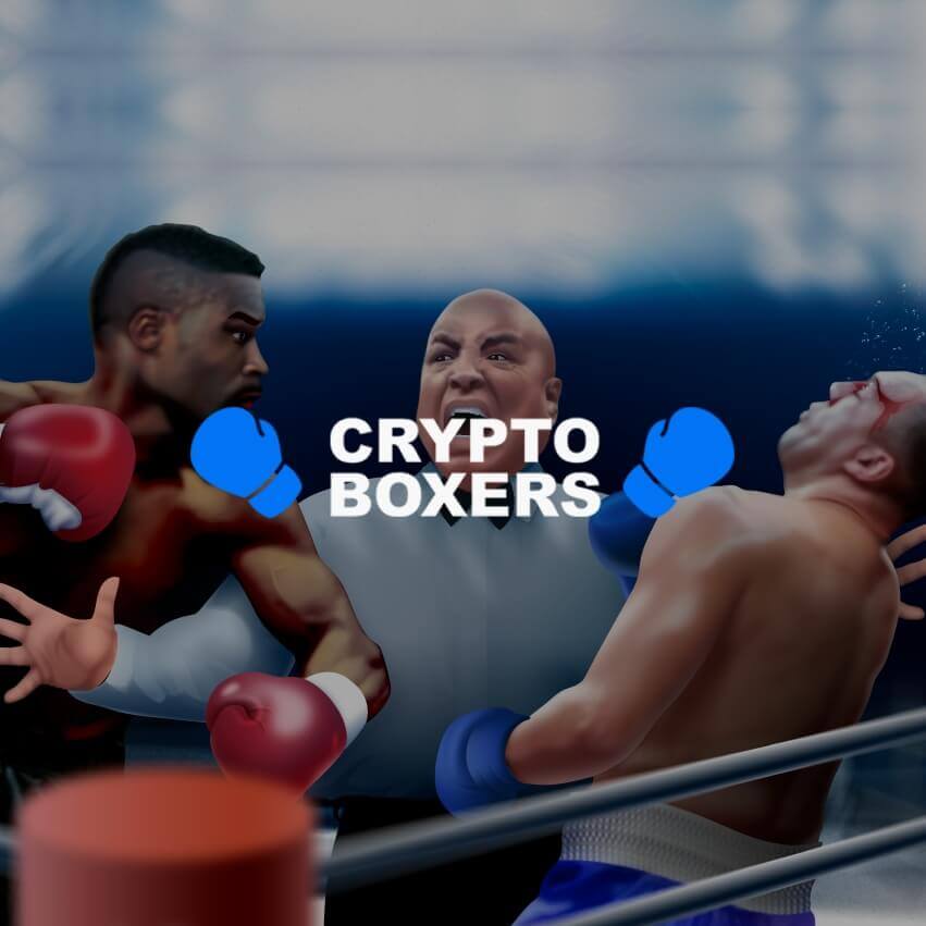 Crypto Boxers